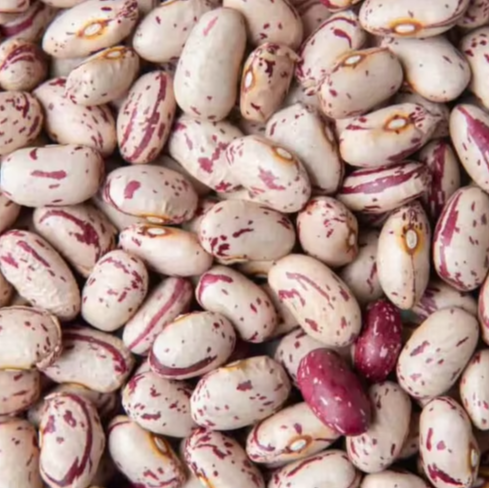 Cheap Price Bulk Stock Light Speckled Sugar Beans | Pinto Beans for Sale in Bulk With Fast Delivery – product photo 2, product detail gallery