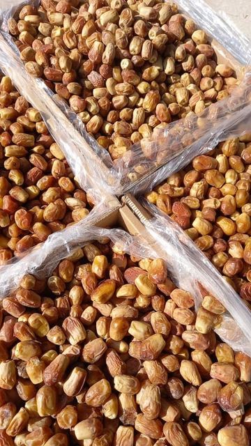 Dates All Types Quality Fresh, New Crop Consumption Type Fresh, Processed Packaging 500gr, 5kg, 10kg cartons Cooking Applications Baking, Cooking - Image 4