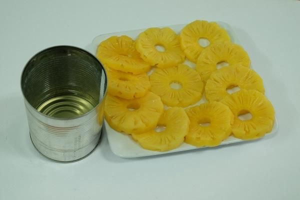 Premium Canned Pineapple Slices Chunks Tidbits in Syrup Bulk Packing for Wholesale Export - Image 5