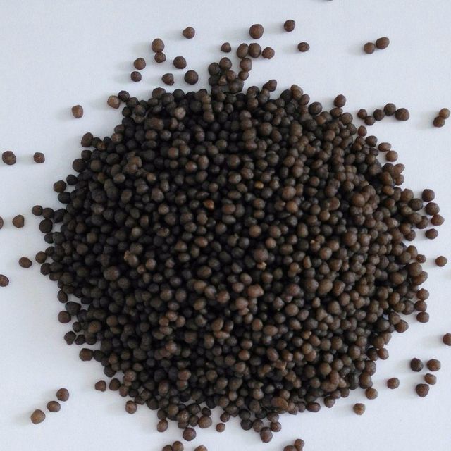 Hot Selling High Purity Dap Fertilizer 18-46-0 Diammonium Phosphate Granular CH4N2O MF - Image 4
