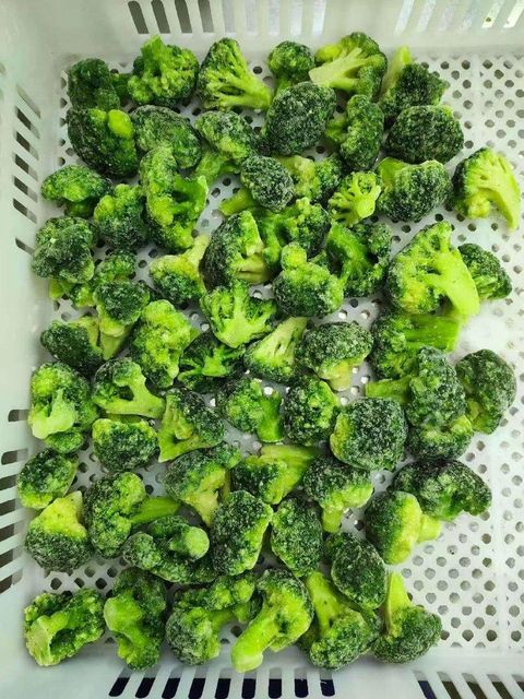 IQF Frozen Broccoli Grade A Color Green Technique IQF Texture Tender Size 3-5 Cm, 3-5CM Ice Coverage 5%-15% Crop Type Winter Crop - Image 3
