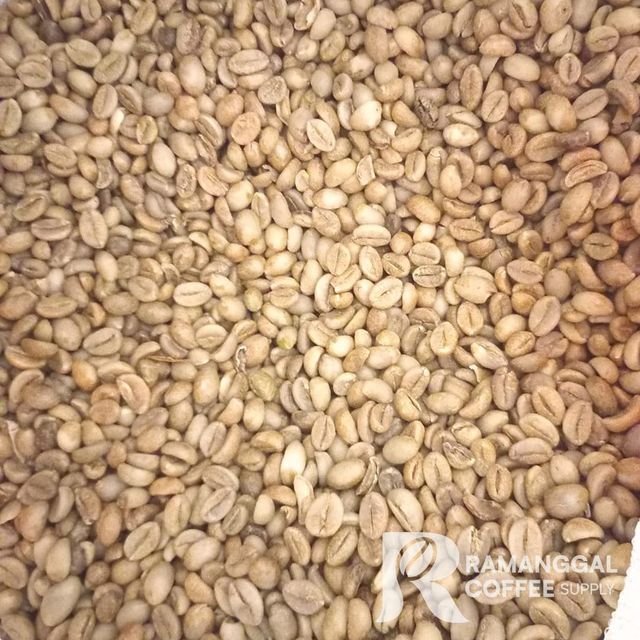 Indonesia Lampung Robusta Green Coffee Beans - Image 2