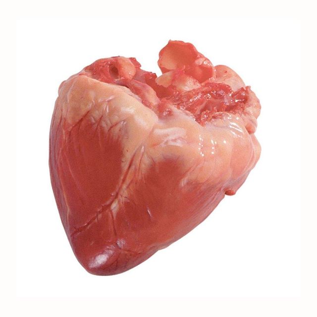 Dried Wholesale Treat Manufacturer No Additives Raw Healthy Freeze-Dried Pork Heart Freeze-dried for Dogs Dried Wholesale Treat Manufacturer No Additives Raw Healthy Freeze-Dried Pork Heart Freeze-dried for Dogs Premium Quality Frozen Pork Heart Whole Frozen Pork Hearts Top Grade for Sale and Food Processing - Image 5
