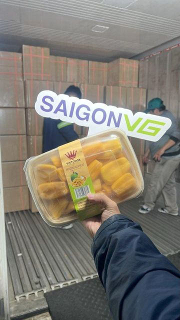 Vietnam Frozen Jackfruit – Seedless & Sweet | Premium IQF & Fresh Export Supplier - Image 4