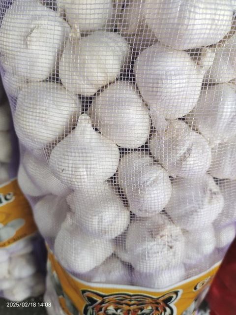 Fresh Chinese White Garlic 4.5–6.5cm – Bulk Premium Cooking Garlic - Image 4