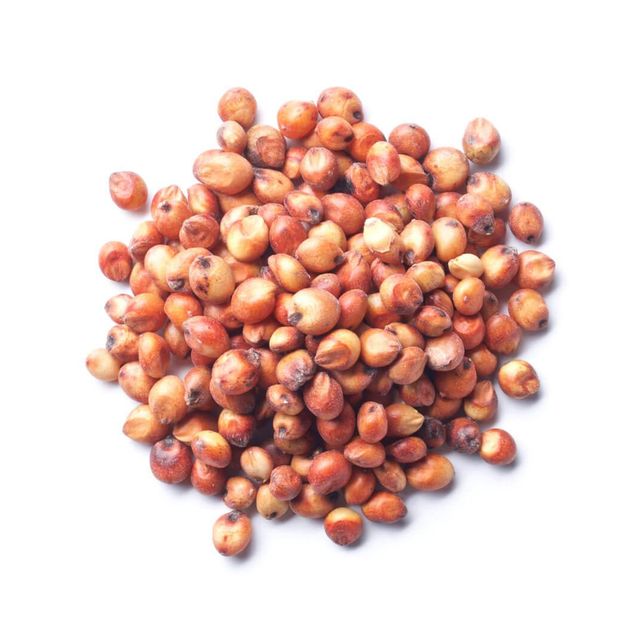 Natural White Sorghum For Grain Blending Agricultural Supply Programs And International Bulk Grain Distribution - Image 5