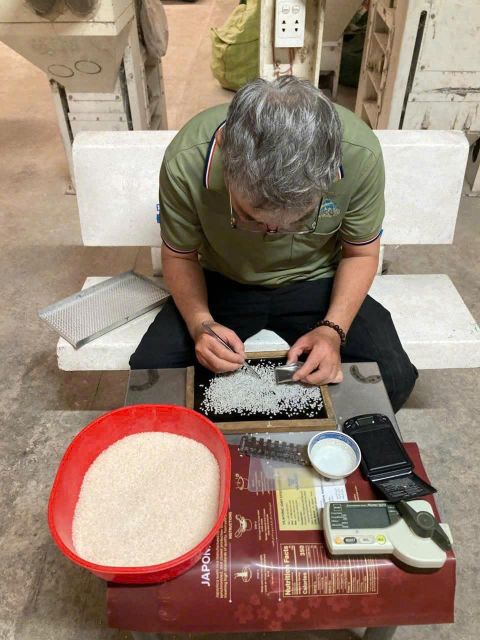 Japonica Rice - Image 4