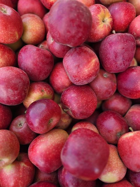 Premium Quality fresh Royal Gala Apples Available - Image 4