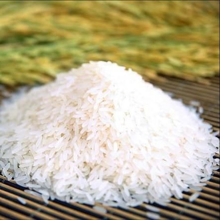 Direct from Vietnam High Quality Fresh Grade White Jasmine Rice Dried and Soft Best Price with Free Tax - Image 2