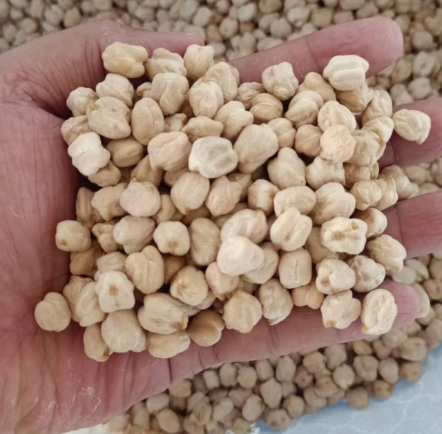 Best Brands Chickpeas – Nutritious, Versatile & Naturally Wholesome 500g to 10kg Quality Chickpeas Ready Supply - Image 3