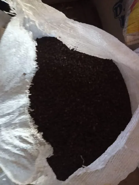 Premium Black Pepper Supplier | Wholesale Bulk & Retail Export Quality  Other High-Performing Titles - Image 3