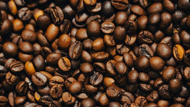 Best Robusta Coffee Grade AAA Place of Origin Kenya Features Gluten-Free, Lactose-Free, Organic, Vegan Origin Asia, China, Egypt, European Continent, European Union, Greece, India, Indonesia, Iran, Italy, Japan, Lebanon, Malaysia, Morocco, National, North America, Other, Philippines, Regional, - Image 1