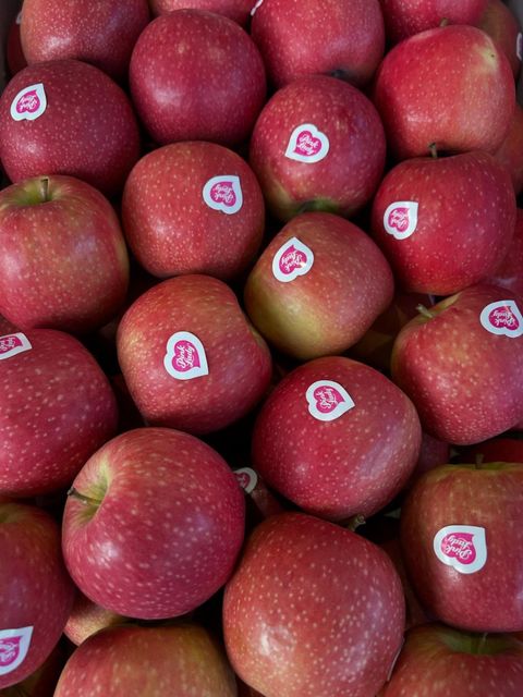 Fresh Quality Pink Lady Apples for sale - Image 5