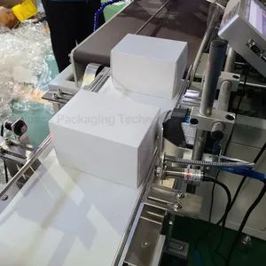Full Automatic Box Case Carton Sealing Cartoning Machine for Bulk Gloves - Image 4