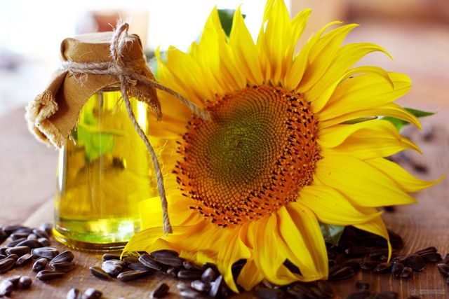 Premium Quality Refined sunflower oil cooking oil, Organic Sunflower Oil - Image 4