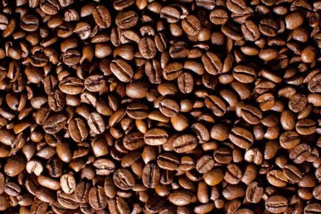 Coffee & Coffee Bean - Image 1