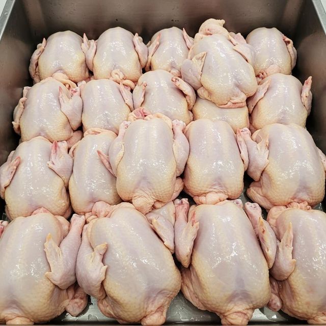 Premium High Quality Frozen Chicken Whole or Cut Parts Farm Raised Fresh and Safe for Restaurants and Retail - Image 4