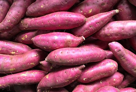 fresh sweet potatoes, Purple sweet potato grown in Vietnam - Image 3