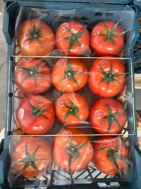 Carefully Cultivated and Hand-Harvested Fresh Cherry Tomatoes 10kg Premium Fresh Edible Cherry Tomatoes For Sale - Image 3