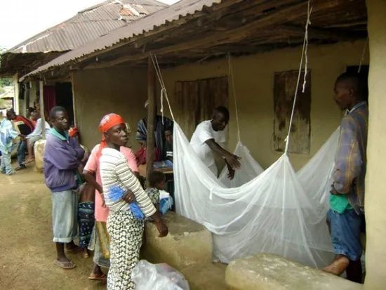 Who Approved Permethrin Impregnated Llin Long Lasting Insecticide Treated Mosquito Net - Image 3