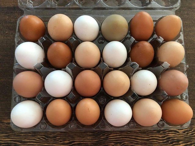 Fresh Chicken White Table Eggs - Image 4