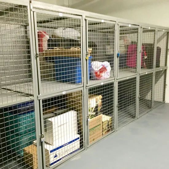 Single Tier and Double Tier Welded Wire Mesh Storage Lockers - Image 1