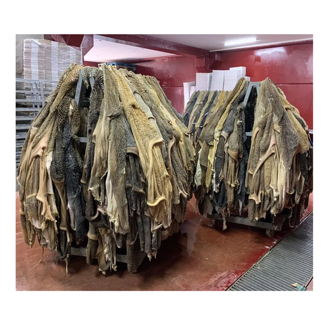 Wholesale Dried salted Frozen Beef Omasum/ Cow Stomach - Image 4