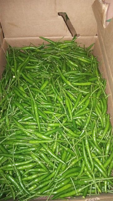 habaneros thais long chilies shishitos scotch bonnets - Image 1