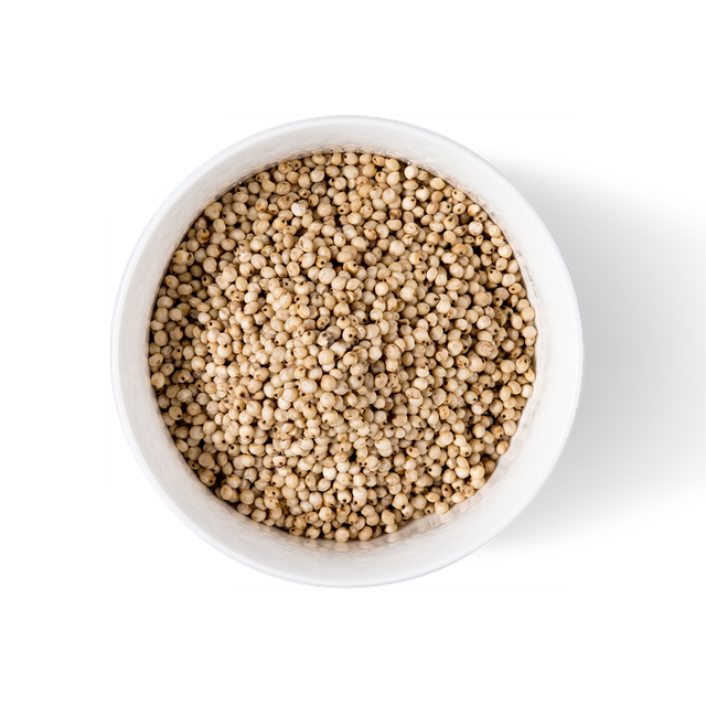 Wholesale sorghum grains bulk stock available with quality certification - Image 4