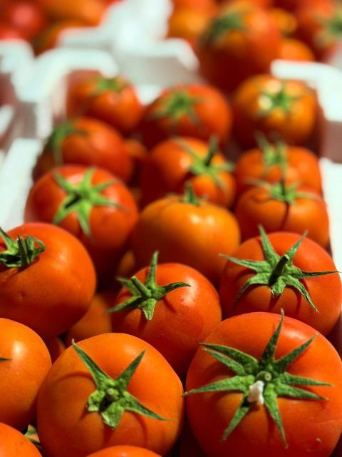 Premium high-quality Egyptian cherry and vine tomatoes available for export. - Image 4