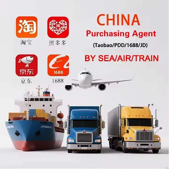 Freight Forwarding, Logistics and Transportation From China to Kuwait, Fast Sea Freight - Image 5