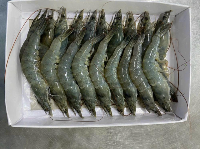 Frozen Vannamei Shrimp HOSO Grade A - Image 2