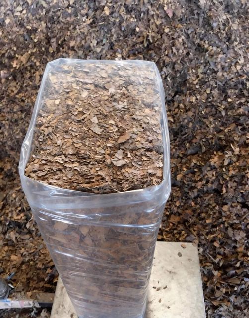 Teak Leaf Mulch Max. Moisture (%) 12% Material Teak Leaf Mulch Carbon Content Rich In Carbon Biodegradability Biodegradable - Image 5
