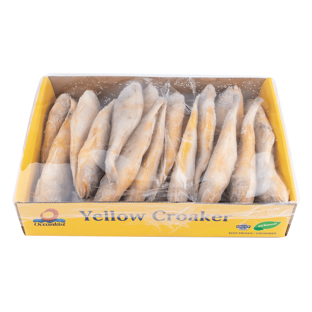 Premium Frozen Yellow Croaker Fish Wild Caught Ocean Fresh Seafood for Restaurants Wholesale Supply - Image 2