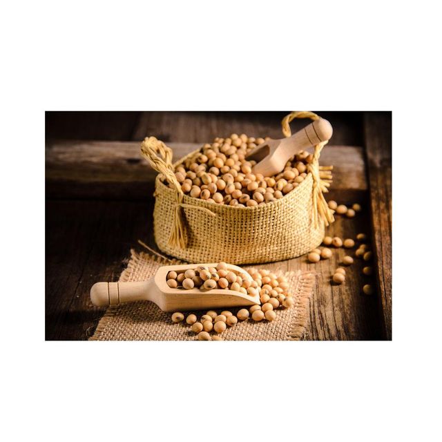 Animal Feed Soybeans frozenchickenexports.com - Image 1