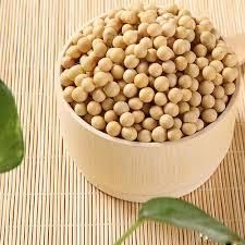 Raw Soybean/ Soya Bean Shelf Life 2 YEARS Place of Origin THAILAND Glycemic Index Low Glycemic Index Cholesterol free - Image 2