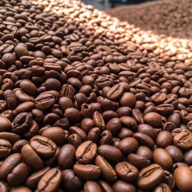 Fresh Season Arabica Coffee Bean Packed To Preserve Aroma For Long Distance Shipment Coffee Bean Orders - Image 3
