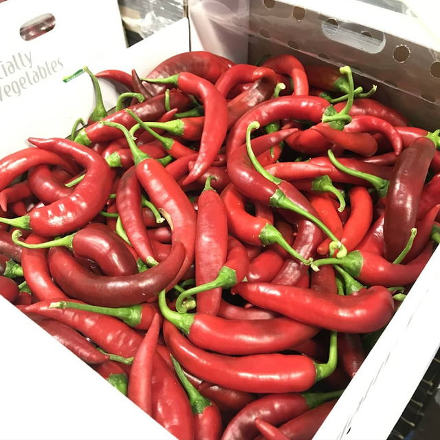 SUPERIOR FRESHNESS RICH FLAVOR CAPSICUMS GREEN,RED AND YELLOW PAPRIKA EXPORT QUALITY FOR FOOD PREPARATION 10Kg PACKS - Image 3