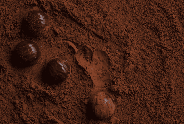 Alkalized Cocoa powder Grade Premium Place of Origin Indonesia Color Brown, Dark Brown, Dark Reddish, Very Dark - Image 2
