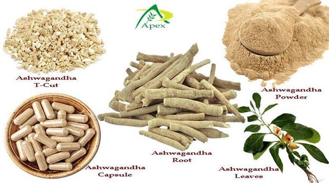 Ashwagandha Leaves Form Leaves Material Dry Leaves Place of Origin India Max. Moisture (%) 10%-12% Brand Name Apex International - Image 4