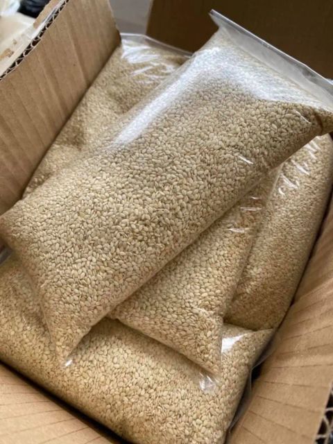 Premium export-quality sesame seeds - Image 3