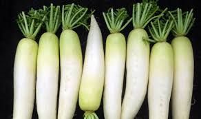 Standard Quality Fresh Radish Exporter from India Address - Content N/A Type radish Color White Style Fresh Model Number - Image 5