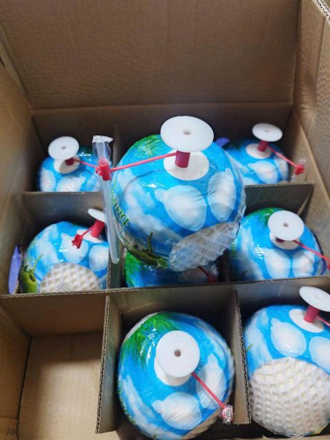 Vietnam Diamond Coconut – product photo 4, product detail gallery