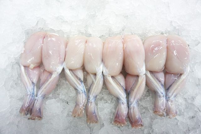 Premium quality IQF Frozen Frog Leg bull packing/ vacuum packing - Image 3