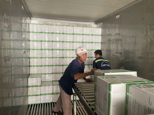 Wholesale price for Frozen Basa Fish Fillet premium quality with OEM service for Pangasius Fillet / Basa Fish - Image 3