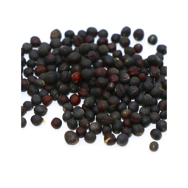 Cheap price rapeseed available for wholesale supply to global buyers - Image 3