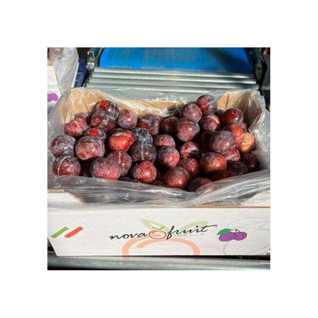 Fresh Plums Select Harvest Fruit For Global Distribution Providing Natural Sweetness Vibrant Color And Quality Care - Image 5