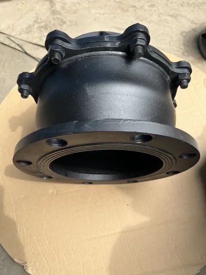 Cast Iron Body 3 in Diameter Check & Foot Valves for Sale - Image 4