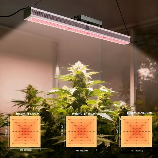 High Efficiency 600W 301b LED Plant Grow Light, Linear Design, 2.8 μMol/J, Rj14 Control, IP65 for Commercial Horticulture - Image 2