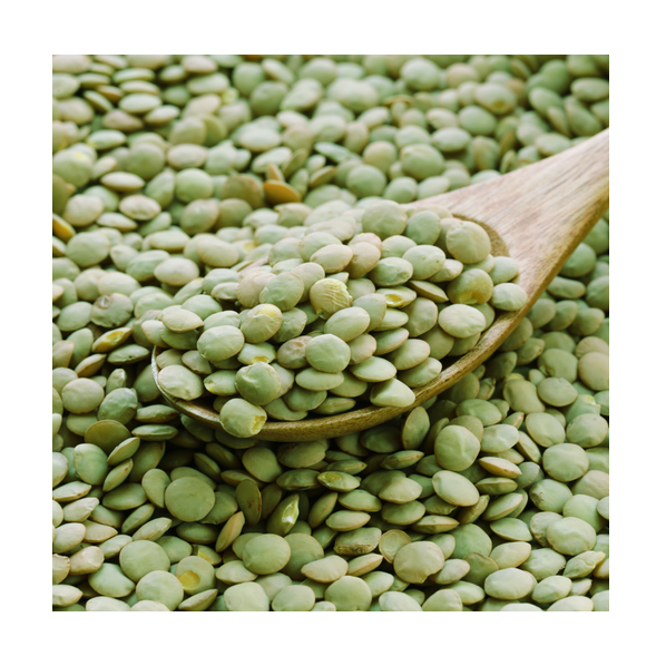 High Quality Canadian Whole Green Lentils Dry Organic Green Lentils Available For Sale At Low Price - Image 1